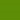 Open Book Corner Bundle Deal Lime Green swatch
